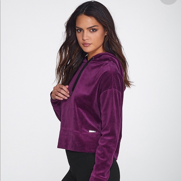 Calvin Klein Tops - Calvin Klein Merlot Velour Cropped Hoodie